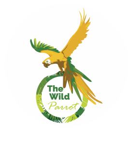 2.官網-商品頁面_W